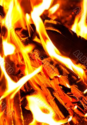 fire close up fire close up