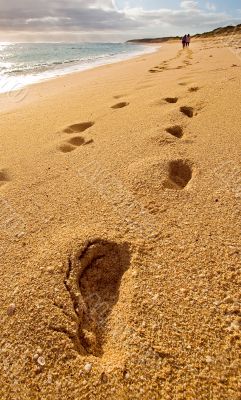 Footprints of friends