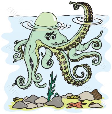 Octopus image