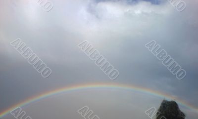 Rainbow rising after rain