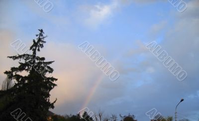 Rainbow rising after rain