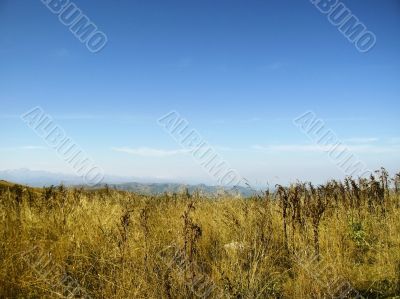 Caucasus landscape and autumn nature in daylight