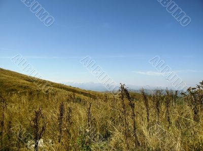 Caucasus landscape and autumn nature in daylight