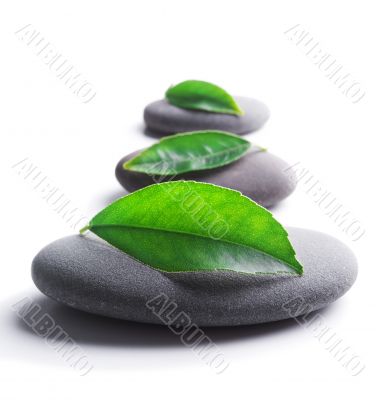 zen stones with leaves