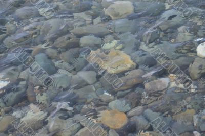 Stones Stones