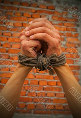 Hands tied up with rope