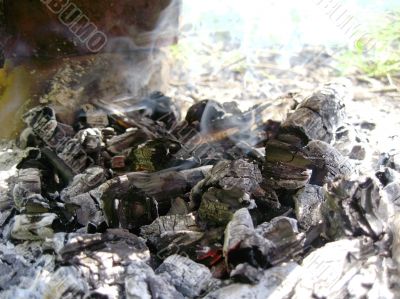 Bonfire and the coals after burning fire