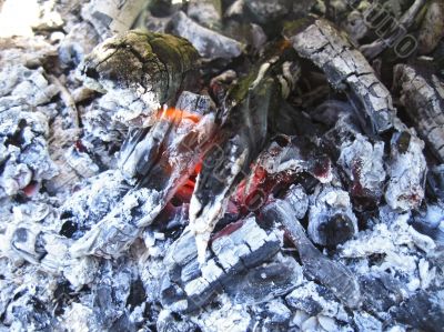 Bonfire and the coals after burning fire