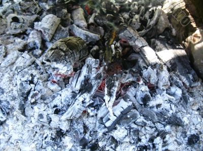 Bonfire and the coals after burning fire