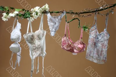 Females undies