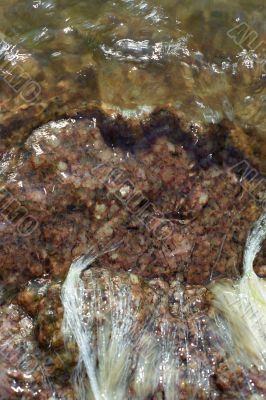 Rock underwater