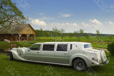 Light limousine in the meadow