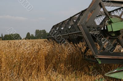 Harvesting