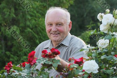 Portrait of grower of roses
