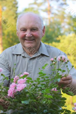 Grower of roses Grower of roses