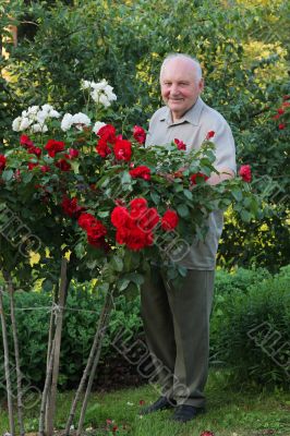 Grower of roses Grower of roses