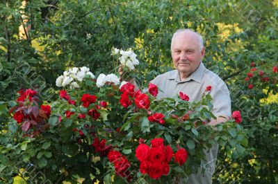 Grower of roses Grower of roses