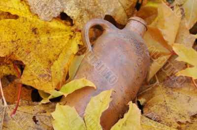 Vintage Bottle and Fallen Maple Leaves