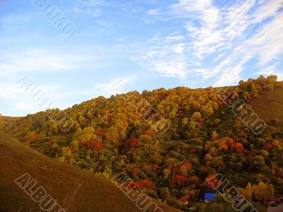 Golden autumn, blue sky and caucasus mountains