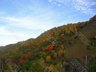 Golden autumn, blue sky and caucasus mountains