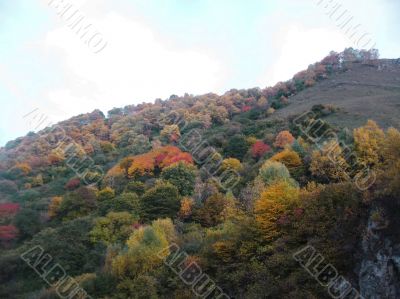 Golden autumn, blue sky and caucasus mountains
