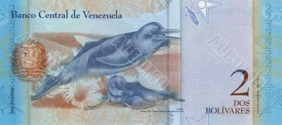 2 Bolivares