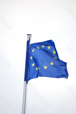 European Union flag