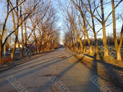 Sunny road and warm autumn day