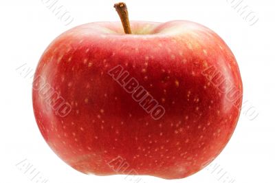 Red apple