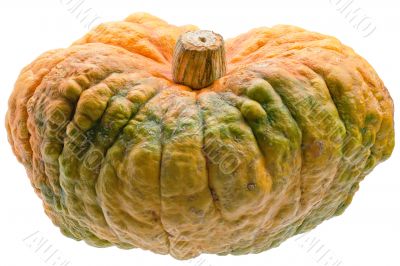 Colourful pumpkin isolated on white background.