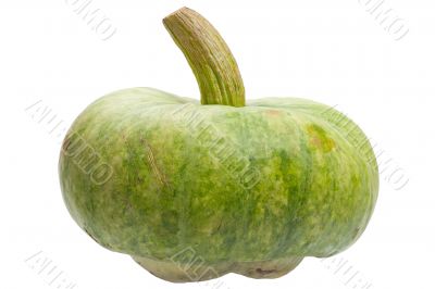Green pumpkin isolated on white background.