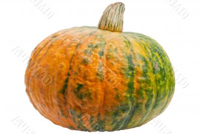 Colourful pumpkin isolated on white background.