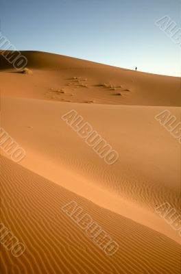 Alone in the desert