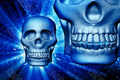 Skull Skull
