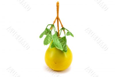 Artificial, plastic pear
