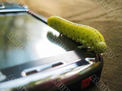 Caterpillar moving on the screen of mobile phone