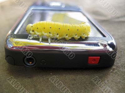 Caterpillar moving on the screen of mobile phone