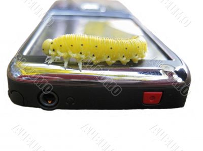 Caterpillar moving on the screen of mobile phone Caterpillar moving on the screen of mobile phone