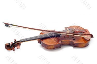 violin violin