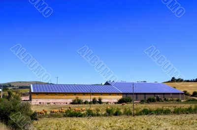 Cattle Sheds Solar Power Sation