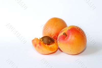 apricot