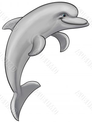 Gray dolphin