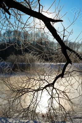 Frosty winter morning