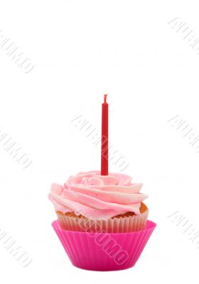 Vanilla cupcake with rose icing