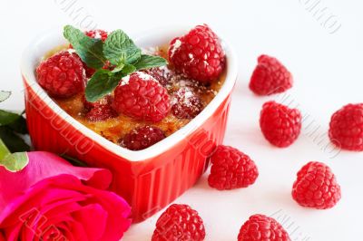 French creme brulee dessert