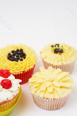 Variety of cupcakes with decorative techniques