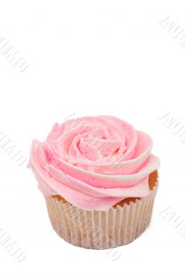 Vanilla cupcake with rose icing Vanilla cupcake with rose icing