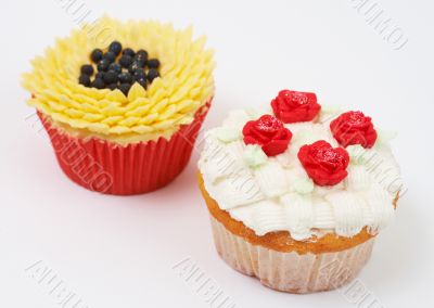 Two cupcakes with decorative techniques