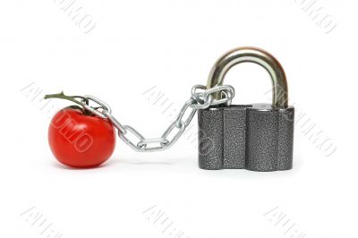 Tomato Under Arrest