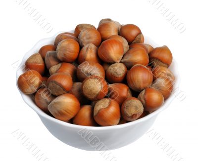 Hazelnuts, isolated